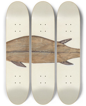 Triptych art skateboard deck of Frances Matsubara Fish Weather Vane_2 by Frances Matsubara