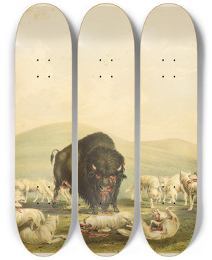 Triptych art skateboard deck of George Catlin Buffalo Hunt White Wolves Attacking Buffalo Bull by George Catlin (1796-1872) Triptych art skateboard deck of George Catlin Buffalo Hunt White Wolves Attacking Buffalo Bull by George Catlin (1796-1872)