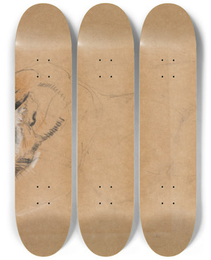 Triptych art skateboard deck of John Macallan Swan Tiger by John Macallan Swan (1847-1910)