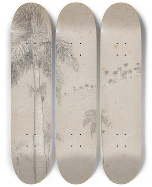 Triptych art skateboard deck of Winslow Homer Royal Palm Cuba by Winslow Homer (1836-1910)
