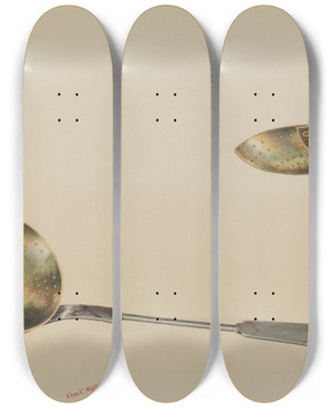 Triptych art skateboard deck of Charles Moss Skimmer_1 by Charles Moss