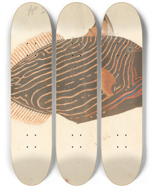 Triptych art skateboard deck of Luigi Balugani A Fish_3 by Luigi Balugani (1737-1770)