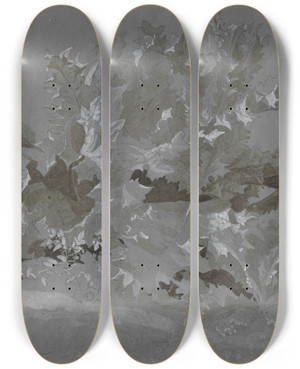 Triptych art skateboard deck of Jeanantoine Linck Study Of Weeds by Jean-Antoine Linck (1766-1843)