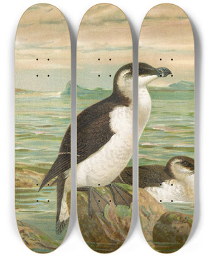 Triptych art skateboard deck of Johann Friedrich Naumann Alca Torda_1 by Johann Friedrich Naumann (1780-1857)