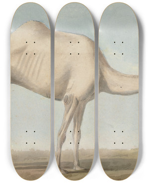 Triptych art skateboard deck of Willey Reveley A Camel by Willey Reveley (1760-1799)
