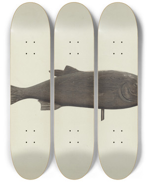 Triptych art skateboard deck of Michael Riccitelli Fish Weather Vane_2 by Michael Riccitelli
