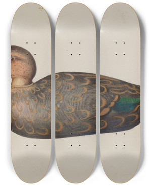 Triptych art skateboard deck of Harriette Gale Decoy Duck by Harriette Gale