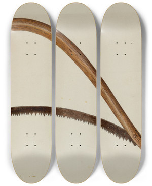 Triptych art skateboard deck of Frank Budash Saw by Frank Budash