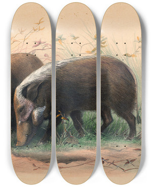Triptych art skateboard deck of Joseph Wolf The Boschvark_1 by Joseph Wolf (1820-1899)