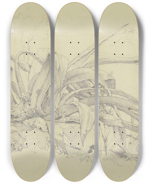 Triptych art skateboard deck of Carl Morgenstern Pflanzenstudie Agave Aus Der Villa Poniatofski by Carl Morgenstern (1811-1893)