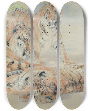 Triptych art skateboard deck of William Huggins Study Of Tigers by William Huggins (1820-1884)