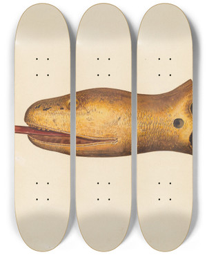 Triptych art skateboard deck of Hazel Hyde Figurehead From The Diadem by Hazel Hyde Triptych art skateboard deck of Hazel Hyde Figurehead From The Diadem by Hazel Hyde