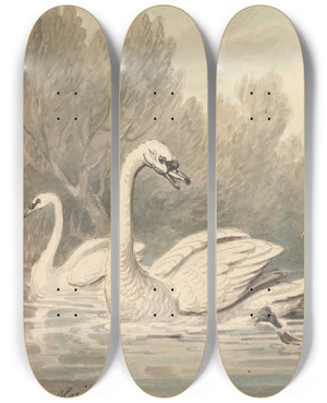 Triptych art skateboard deck of Samuel Howitt A Raven And Two Swans by Samuel Howitt (1756-1822)