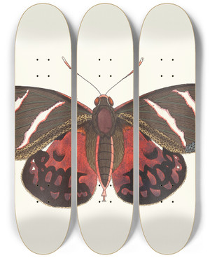 Triptych art skateboard deck of George Shaw Icarus by George Shaw (1751-1813)