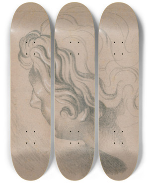 Triptych art skateboard deck of David Humbert De Superville Vrouwenkop Naar Links En Schuin Van Achter Gezien by David Humbert De Superville (1770-1849)