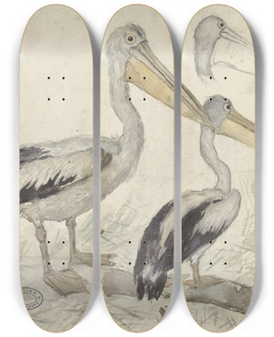 Triptych art skateboard deck of Jan Van Essen Pelicans In Artis Zoo by Jan Van Essen (1854-1936)