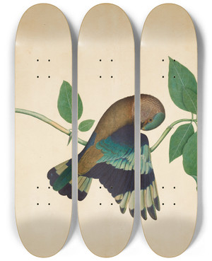 Triptych art skateboard deck of Sheikh Zain Aldin Indian Roller On Sandlewood Branch by Sheikh Zain al-Din (18-)