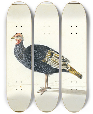 Triptych art skateboard deck of Gerardus Van Veen A Turkey Hen by Gerardus van Veen (1620-1683)