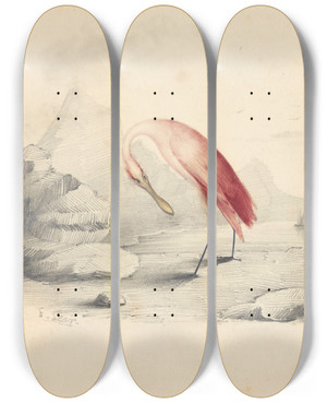 Triptych art skateboard deck of Edward Lear A Flamingo by Edward Lear (1812-1888)