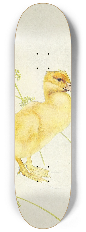 Edward Julius Detmold - The Duckling 8.25 inch art skate deck