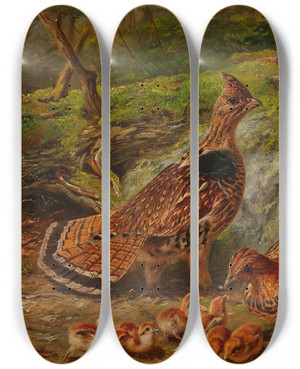 Triptych art skateboard deck of Arthur Fitzwilliam Tait Ruffed Grouse by Arthur Fitzwilliam Tait (1819-1905) Triptych art skateboard deck of Arthur Fitzwilliam Tait Ruffed Grouse by Arthur Fitzwilliam Tait (1819-1905)