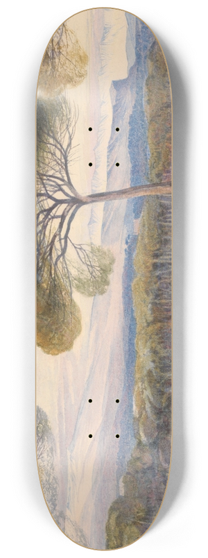 Edward Lear - A View of the Pine Woods Above Cannes 8.25 inch art skate deck