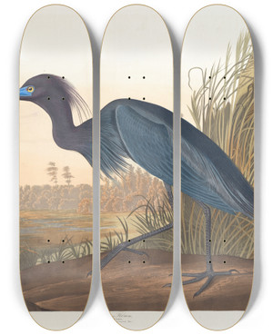 Triptych art skateboard deck of John James Audubon Blue Crane Or Heron by John James Audubon (1785-1851)