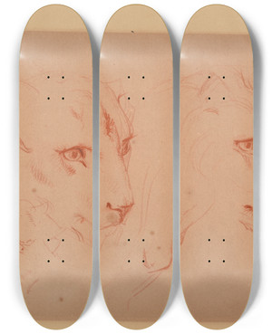 Triptych art skateboard deck of Jacquesraymond Brascassat Tudes De Ttes De Lions by Jacques Raymond Brascassat (1804-1867) Triptych art skateboard deck of Jacquesraymond Brascassat Tudes De Ttes De Lions by Jacques Raymond Brascassat (1804-1867)
