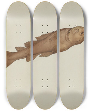 Triptych art skateboard deck of Joseph Goldberg Fish Shop Sign by Joseph Goldberg