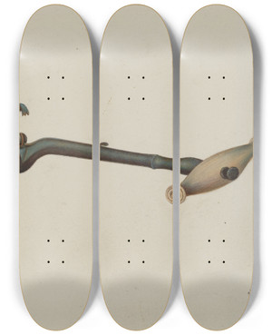 Triptych art skateboard deck of Joseph Cannella Tooth Puller by Joseph Cannella