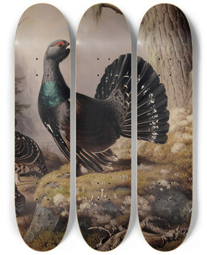 Triptych art skateboard deck of Ferdinand Von Wright Capercaillies Courting by Ferdinand von Wright (1822-1906)