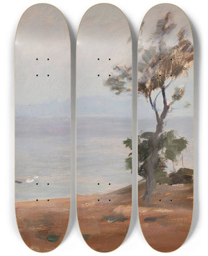 Triptych art skateboard deck of Jan Cigliski Landscape From The Journey To Constantinople by Jan Ciaglinski (1858-1913) Triptych art skateboard deck of Jan Cigliski Landscape From The Journey To Constantinople by Jan Ciaglinski (1858-1913)
