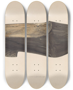 Triptych art skateboard deck of Lloyd Charles Lemcke Wooden Shoe by Lloyd Charles Lemcke