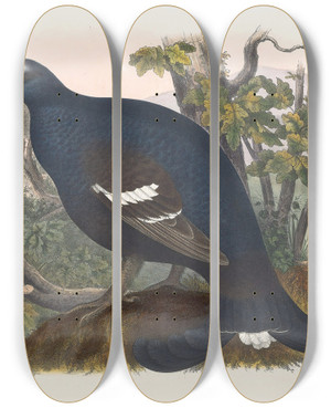 Triptych art skateboard deck of Daniel Giraud Elliot The Black Grouse by Daniel Giraud Elliot (1835-1915)