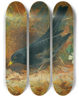 Triptych art skateboard deck of Archibald Thorburn Blackbird by Archibald Thorburn (1860-1935)