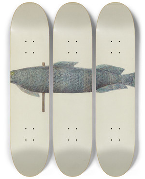 Triptych art skateboard deck of Sadie Berman Fish Weather Vane by Sadie Berman