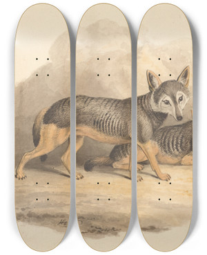 Triptych art skateboard deck of Samuel Howitt Two Hyenas by Samuel Howitt (1756-1822)