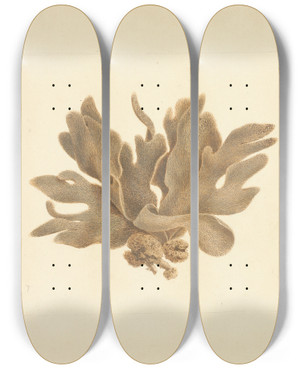 Triptych art skateboard deck of Luigi Balugani Untitled by Luigi Balugani (1737-1770)
