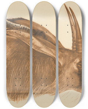 Triptych art skateboard deck of Alexandre Jacovleff Dessins Et Peintures Dafrique Pl 22 by Alexandre Jacovleff (1887-1938)