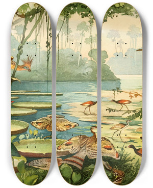 Triptych art skateboard deck of Emil August Gldi Cigana Pavo Do Par Caro Piaoca Saracura Aan Ipequy by Emil August Goldi (1859-1917)