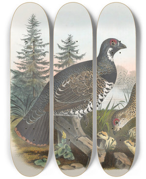 Triptych art skateboard deck of Daniel Giraud Elliot Spruce Grouse by Daniel Giraud Elliot (1835-1915)