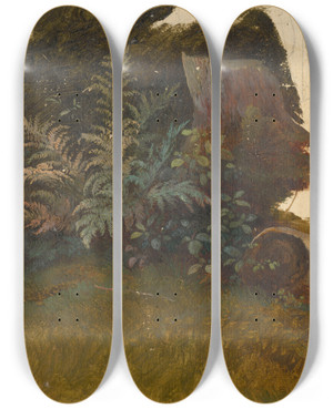 Triptych art skateboard deck of Friedrich Carl Von Scheidlin Mountain Vegetation by Friedrich Carl Von Scheidlin (1822-1913)