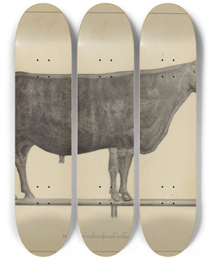 Triptych art skateboard deck of Salvatore Borrazzo Weather Vane Finial_1 by Salvatore Borrazzo
