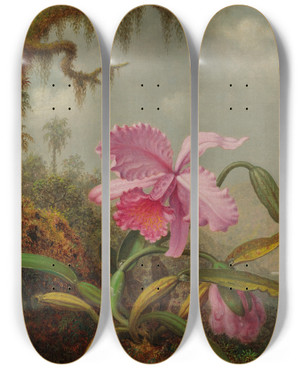 Triptych art skateboard deck of Martin Johnson Heade Orchids And Hummingbirds by Martin Johnson Heade (1819-1904)