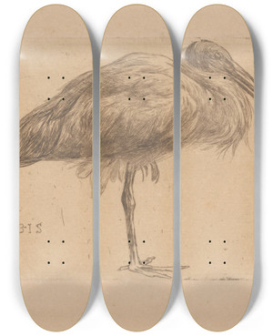 Triptych art skateboard deck of Jan Veth Ibis by Jan Veth (1864-1925)