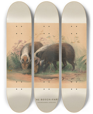 Triptych art skateboard deck of Joseph Wolf The Boschvark_2 by Joseph Wolf (1820-1899)