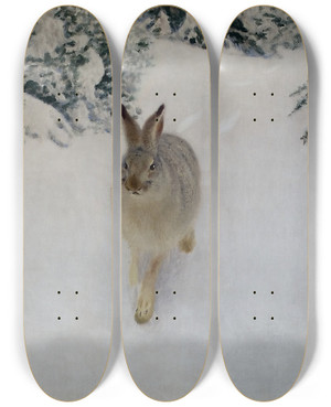 Triptych art skateboard deck of Bruno Liljefors Hare In Winter by Bruno Liljefors (1860-1939)