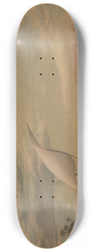 Edward William Cooke - On the Nile 8.25 inch art skate deck