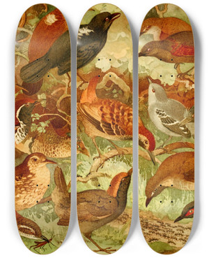 Triptych art skateboard deck of Emil August Gldi Taiacuir Pinto Do Mato Me Da Taca by Emil August Goldi (1859-1917)