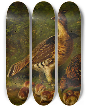Triptych art skateboard deck of Arthur Fitzwilliam Tait Pair Ruffed Grouse And Young by Arthur Fitzwilliam Tait (1819-1905) Triptych art skateboard deck of Arthur Fitzwilliam Tait Pair Ruffed Grouse And Young by Arthur Fitzwilliam Tait (1819-1905)